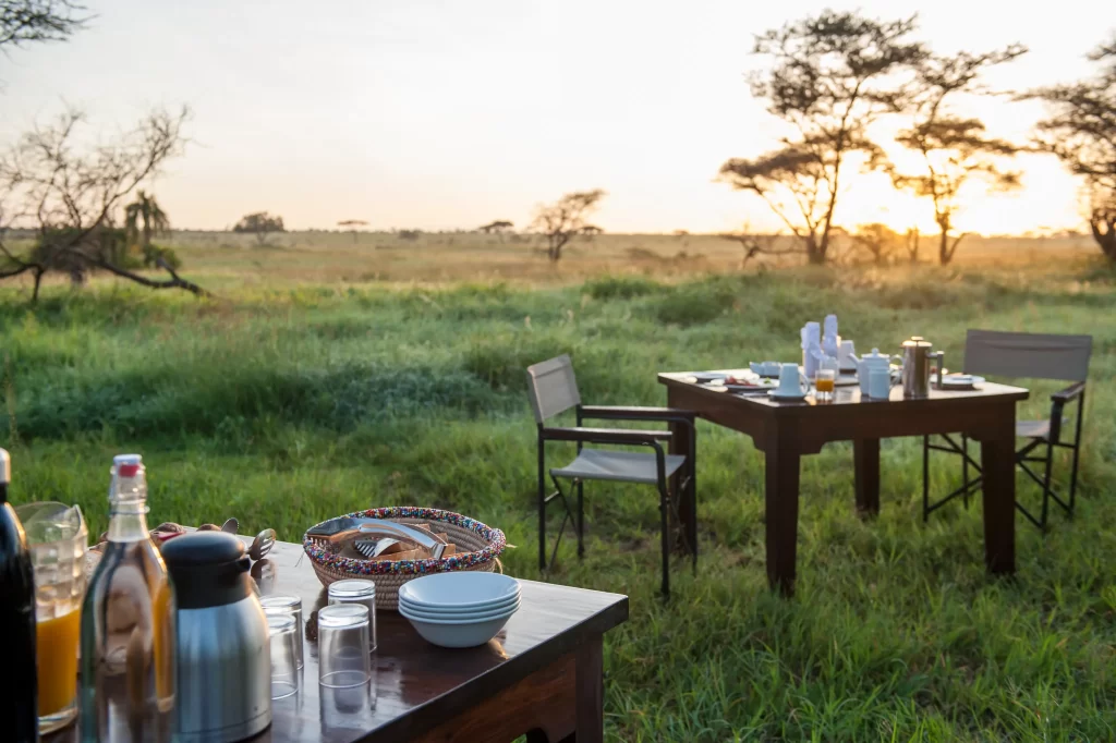 Served breakfast for two outdoors - Mara River camp bush dining experience