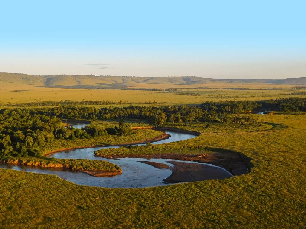 Aerial view of the mara river